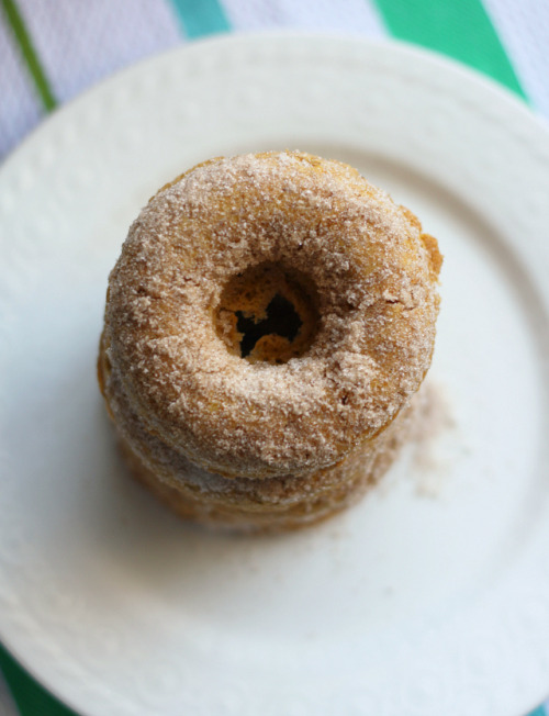 Vegan Cinnamon Sugar Pumpkin Doughnuts 1 cup spelt flour ½ cup sugar 1½ t. baking powder ¼ t. salt ⅛