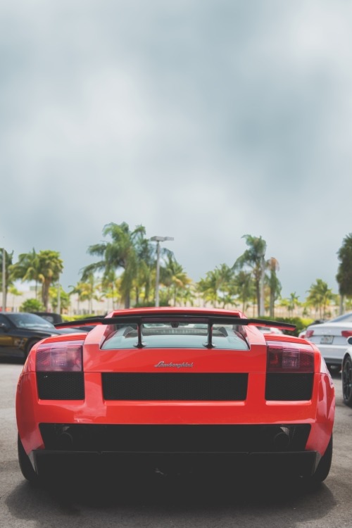 visualechoess:  Lamborghini Gallardo - by: Filippo 
