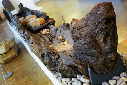 Bronze Age Log Boat from Shardlow, Derbyshire, Derby Museum and Gallery, 6.1.18.This Bronze Age Log 