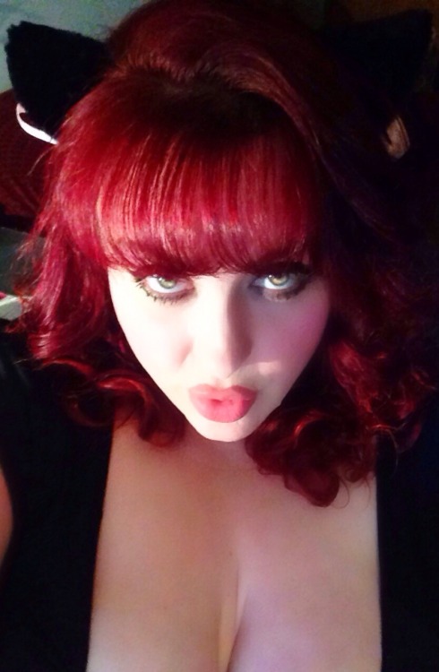 littlebunnysunshine:  Fun new kitten ears, better pictures to come!