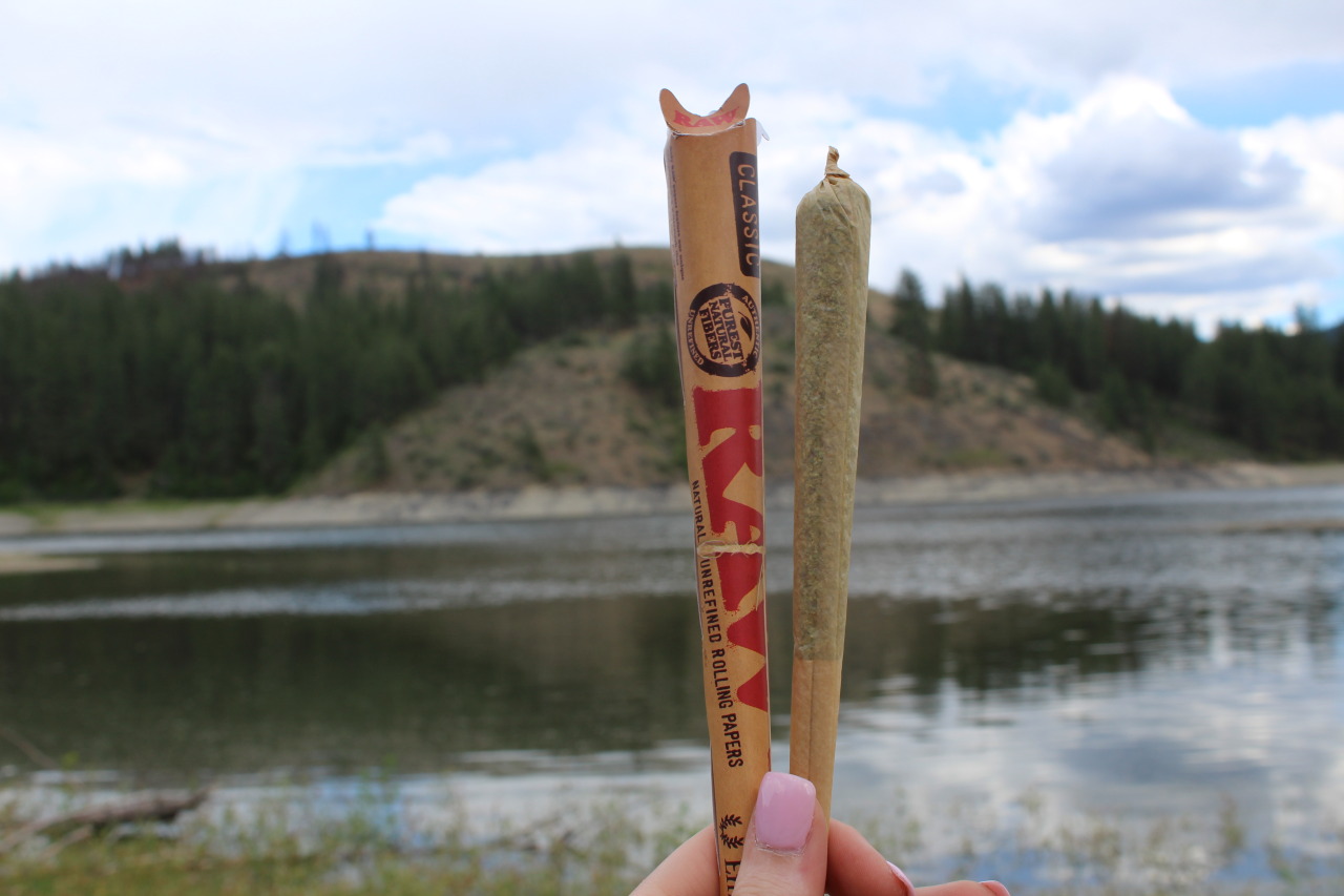 stayhigh-laylow:  WHEN YOU COME PREPARED….