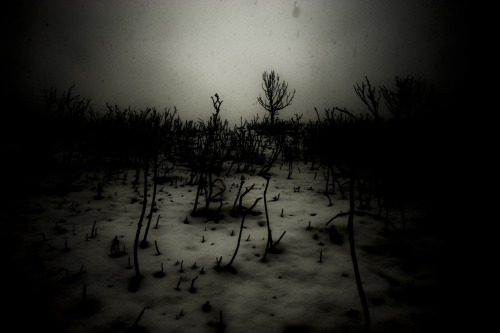 loic-arnaud:  “dans la cache”, 2011 Loïc Arnaud 