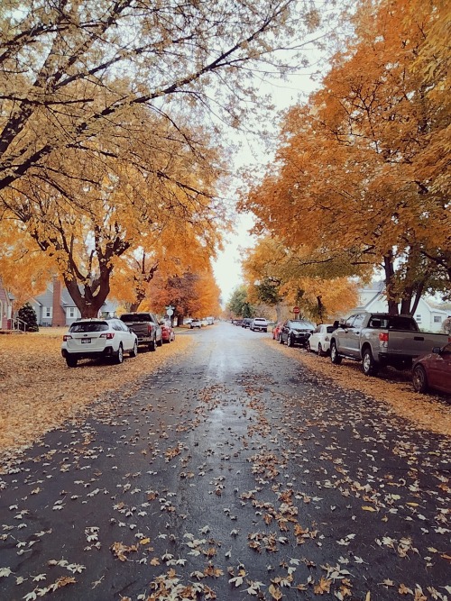 pumpkinflavored:10-24-21 , by my fiances mom’s house 🍂🍁