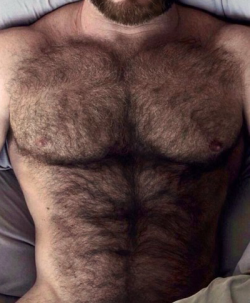 marriedjock8:  Fuck the only thing that would make this chest better is a spattering of my jizz mixed in the fur while I sat on his cock.