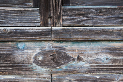 These fish and little turtles(bottom pic) were carved right into the wooden siding on this forgotten