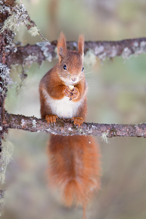 animalprotectionblog:  Visit us and support Animal Protection: Animal Protection Blog