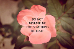 dictionaryghost:  © Cassidy Black, DO NOT MISTAKE ME FOR SOMETHING DELICATE 