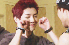 oh-luhans:       exo aegyo train      
