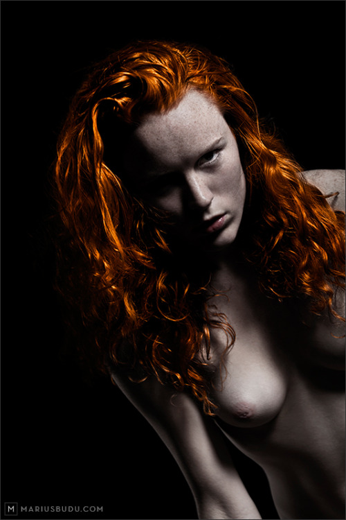 roarin-monkey:  World On Fireby Marius Budu Model: Vernonika  Very effective imagery.