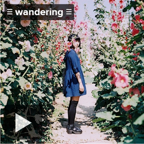 arcdickcunteys: ♡ wandering ♡ Listen a mix of kinda happy indie songs to aimlessly wander to Piledri
