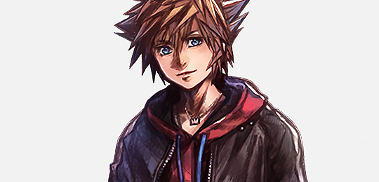 hayner: Kingdom Hearts + SuperGroupies: Sora, Kairi, Riku, Roxas, Lea