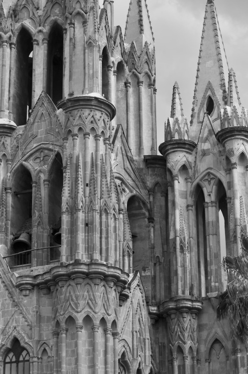 Detalle Parroquia de San Miguel de Allende, MéxicoPhoto: Jadiel Galicia