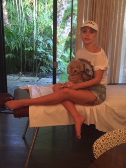 ladyxgaga:  @ladygaga: Just me and Fozzi Bear relaxin. Ready to watch some murder mysteries and learn lines.   @sft425