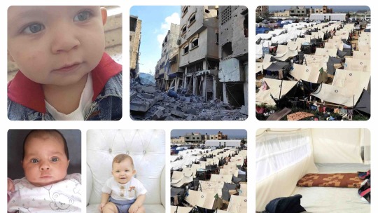 Donate to Help Evacuate My Family from Gaza to Safety, organized by momen alostaz