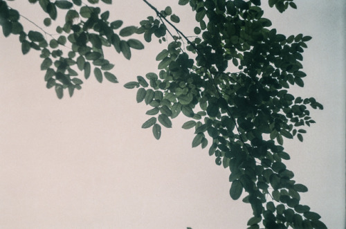 Terry Magson Analogue Photographer