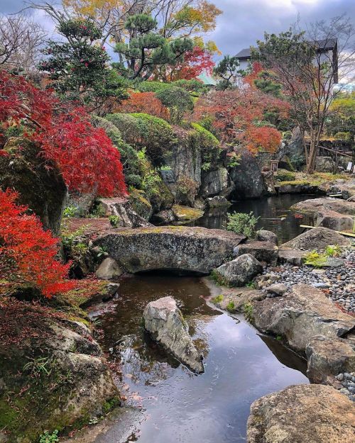 子規の庭 [ 奈良県奈良市 ] Tenpyo Club Shiki&rsquo;s Garden, Nara の写真・記事を更新しました。 ーー #正岡子規 の子孫は作庭家だった。子規が詠んだ柿の木を