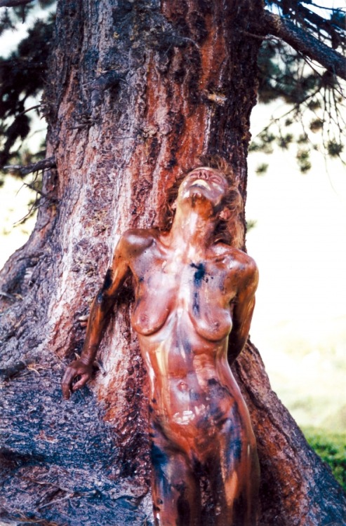 unusualnudephotos:  bodypaintart:  Trees By Johannes Stotter  All of my blogs are themed. Some obviously so. Some not so obviously: Unusual Nude Photos        http://unusualnudephotos.tumblr.com/ Display Your Wife to Other Men  http://displayyourwifetooth