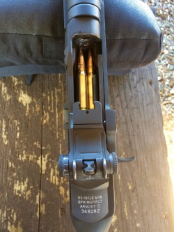 coffeeandspentbrass:  therevenantrising: US RifleCaliber .30M1A  My favorite.