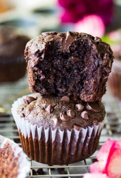 choco-chocoholics:Double Chocolate Muffins