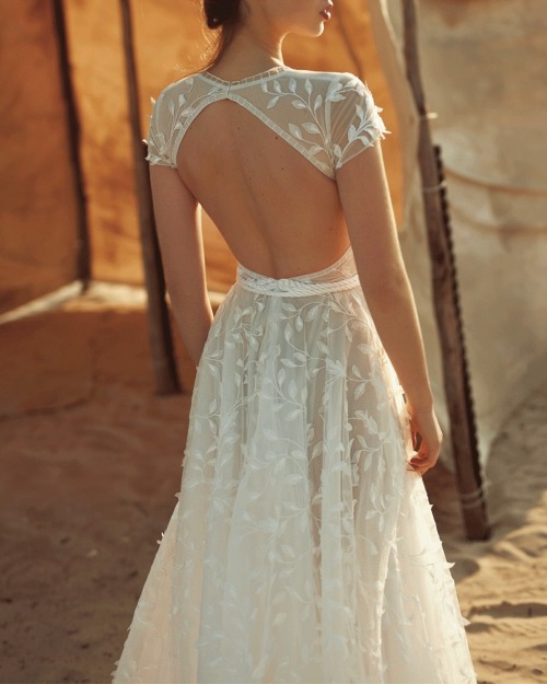 lacetulle:Dana Harel | New Dawn