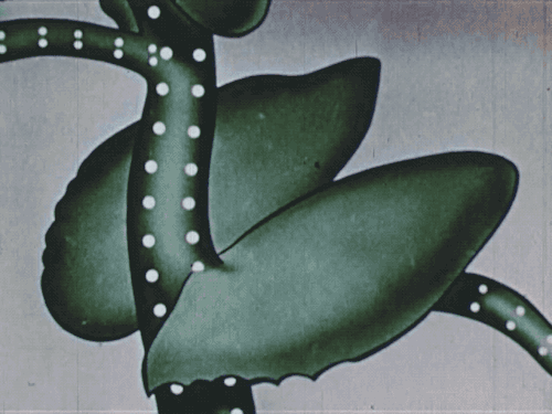 nemfrogfilms:Photosynthesis. Encyclopedia Britannica Films. Life of a plant. 1949. Interent Archive