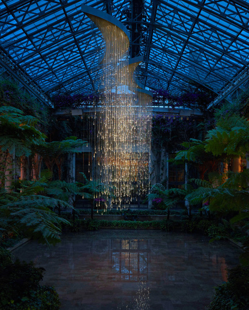 groundcovers: Light sculpture at Longwood Gardens by Bruce Munro