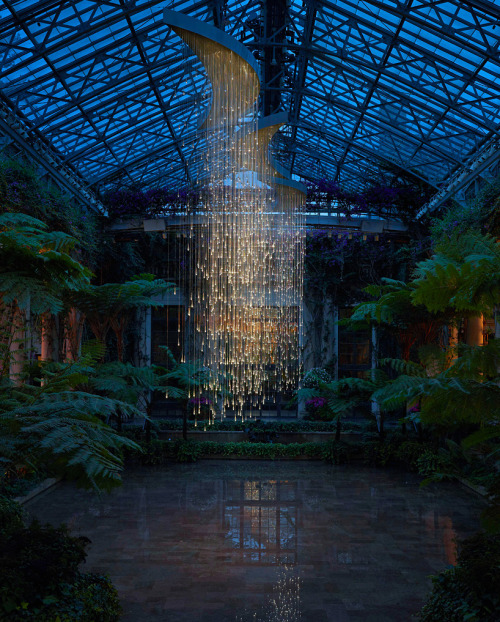 madelinelime:asylum-art-2: Spectacular Light Installation at Longwood Gardens by Bruce MunroBri