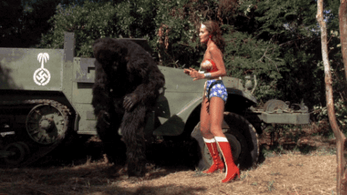 stewardessesandassortedothers:  That monkey knew what he was doing…..