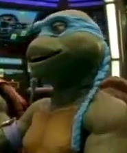 Does anybody still remember the this turtle? 