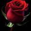 daggerrose137