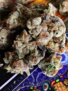 lost-in-dimensional-space:Silver Muff - 23.7% THC