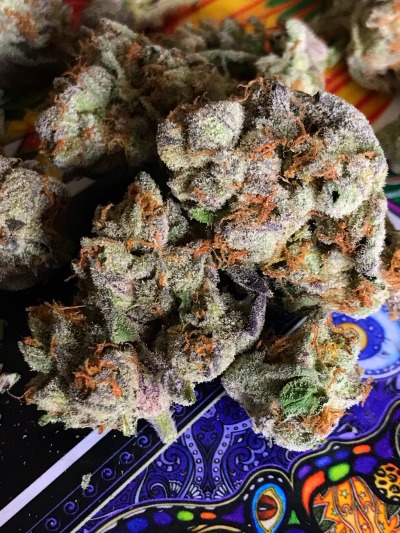 lost-in-dimensional-space:Silver Muff - 23.7% THC