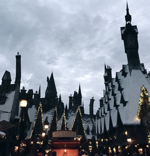 eyeslikecoffee - Accio Christmas!Hogsmeade Village at Universal...