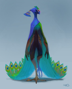 oseoro:  Peacock man. 