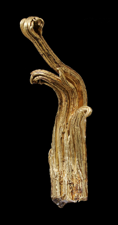 Gold Wire (The Gold Horn), One of the largest known gold wire specimens, often referred to as a Ram&