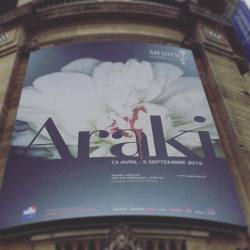 today  #araki #paris  (at MusÃ©e Guimet)