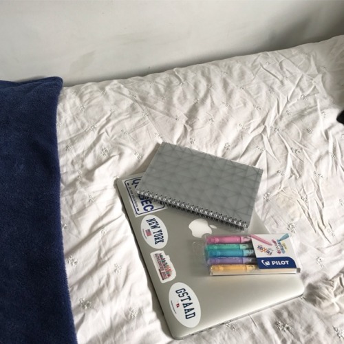 Hey guys! I’m back now &amp; im going to be using my studyblr a lot more, since it’s my final year o