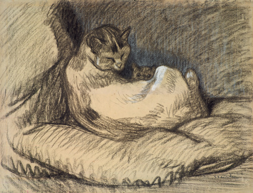 theophile-steinlen:Mother Cat, Theophile Steinlenwww.wikiart.org/en/theophile-steinlen/mothe