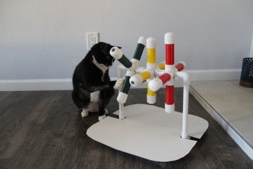 engineering-for-cats:PVC pipe treat slot machine