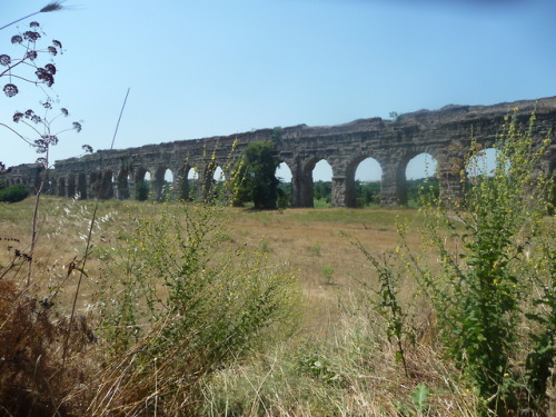 Aqueduct park of Rome - how to get thereThis place is one of my favourites in Rome and actually not 