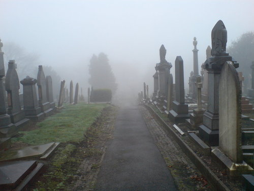 minarachelle:  Tumblr op We Heart It