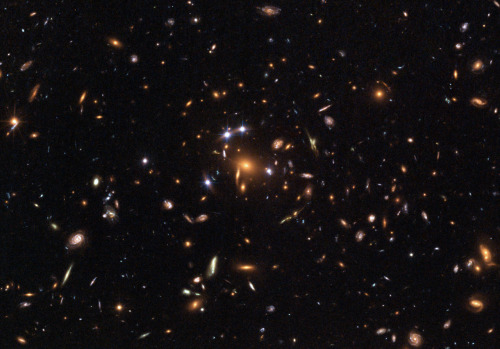 Galaxy Cluster SDSS J1004+4112 taken on December 12 in 2005 