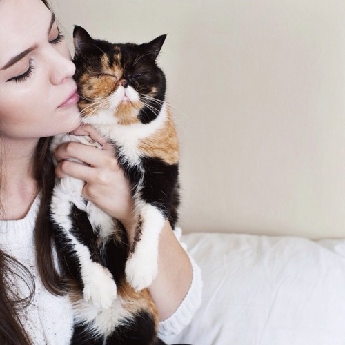 pudgethecat:Happy cat-moms day! Be a good kitty and embrace the hugs and kisses just for today