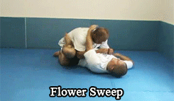 kungfumasters:All kinds of Sweep for you. porn pictures