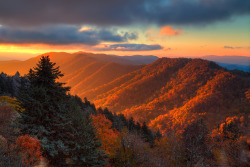 americasgreatoutdoors:  From the Great Smokies