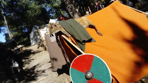 “La rose d’or” in Avignon. It’s a festival from 9th to 17th cent.Hundreds reenactors come, this is t