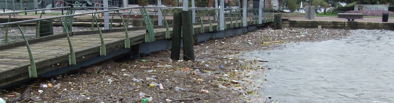 Bernie’s Newest Addition To Racial Justice: Pollution in the Inner -City