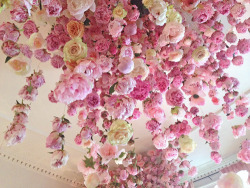 misswallflower: Peony &amp; Blush Suede, by Rebecca Louise Law
