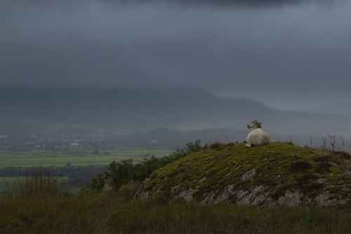 A quick tour through Wales