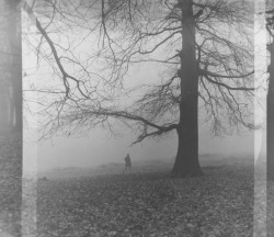 rcairns: Rebecca Cairns